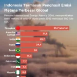 IEA: Indonesia Jadi Penyumbang Emisi Metana Terbesar Kedua di Asia Tenggara