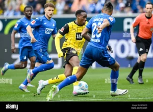 Kevin Akpoguma Bergabung dengan Frosinone Setelah Meninggalkan Hoffenheim
