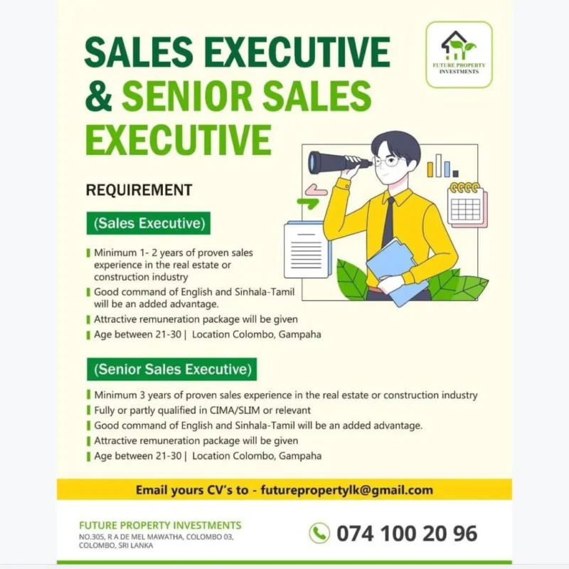 Senior Sales Executive Properti